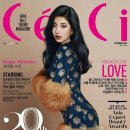 쎄씨 이미지