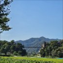 [충주] 수주팔봉(水周八峰) 두룽산(593m). 이미지