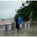 진도항 이미지