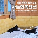 사미정계곡펜션1호 | 하동 애견동반 숙소 하늘한옥펜션 삼성궁 10분 거리