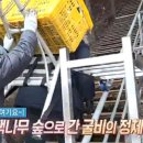 아치실마을 이미지
