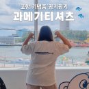 포항기념품 선물 과메기 &amp; 개복치 티셔츠의 제작과정 관광기념품 공모전 ( with 핑키핑키 )