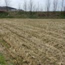 양평신복마을 이미지