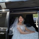 가드니아 | 청주 더빈 가드니아홀 예식 동행 후기 with 오롯이, 어유스