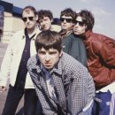 오아시스 이미지