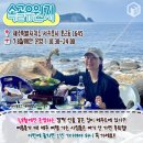 8월 제주도 여행 꼭 가볼만한 명소 (+여름휴가, 데이트코스) 이미지