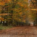 박현욱 행정사 사무소 이미지