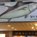 참치일번지 이미지