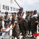 아라우 이미지