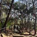 신토불이떡볶이 이미지