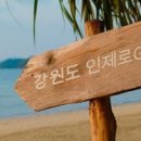 서화농장 이미지