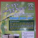 아녜스헤어 Daum카페