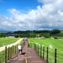 한우목장 이미지