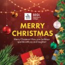 Happy holidays from all of us at SEGi University and Colleges! 이미지