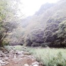 상무대로1-2 이미지