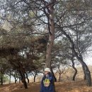 플레이버디자인 이미지