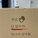 원우 | 쿠팡 장작 안녕 난 원우야 참나무 장작 후기｜얇은 장작+두꺼운 장작 반반 사용해본 솔직 리뷰