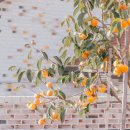 솔뫼세탁 이미지