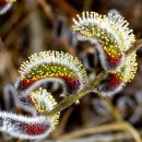 마중가는길 이미지