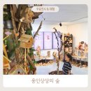 (주)자유건설 | 용인상상의숲 : 모두의나무 자투리마을 건설작전 체험후기