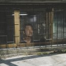찬*이* 이미지