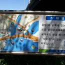 양수리 두물머리길 이미지