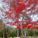 경하목장 이미지