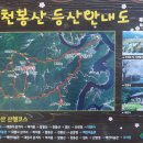 대원사 Daum카페