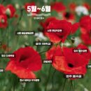 용수골목장 이미지