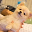 엠아이플랫폼