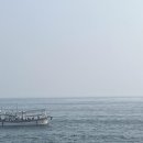 &lt;제주도 돌고래&gt; 돌고래 관찰 성공! 돌고래 볼수 있는 곳 &amp; 꿀팁 / 돌고래 장소와 시간 확인 필수!!