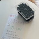 코너굼 | 전주대 근처 효자동 에그타르트 카페 ‘코너굼’
