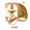 위경화농장 네이버블로그