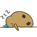 보람농산 이미지