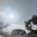 채움푸드 | 인천 서구 아이와 가볼 만한 곳 국립생물자원관 생생채움 후기