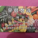 유림청과 네이버블로그