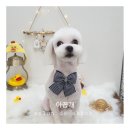 아꼽개 이미지