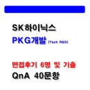 에이치비엠 | SK하이닉스 PKG개발 면접후기 (2025,6명) 및 기출 질문