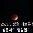 손자의 일기 + AI 제미나이 + 정월 대보름 개기월식 사진 = 영상일기 이미지