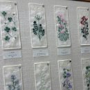 (주)코리아세븐방이5호점 | [일상] 1월 3주차 - 안국 서울공예박물관, 용인 데이트, 청첩장모임