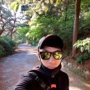 평택 무성산(114m) [나혼산]