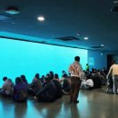 돌고래약품 이미지