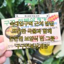 구구전복삼계탕 | 용산공원 맛집 추천 숙대입구역 근처 밥집 든든한 보양식이 먹고 싶을 땐 구구전복삼계탕