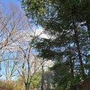 과천성당 건너편 버스정류장 이미지