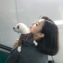 이새로미 카카오 검색결과