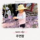 주연팜 이미지