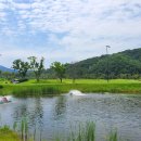 포도컨트리클럽 이미지