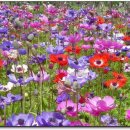 미래농장 이미지