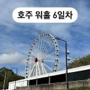 6일차] D+6 호주 서브웨이(SUBWAY), 첫 면접(한인잡), K Fresh Mart(케이프레쉬 마트) 장보기, 저녁 먹기