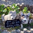 송죽리 경로당 네이버블로그